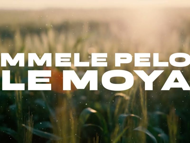 DJ Ngwazi ft. Han C & Donald – Mmele Pelo Le Moya