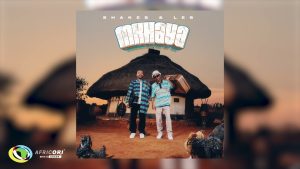 Shakes – Inkulu Lendaba Ft Les & Mashudu