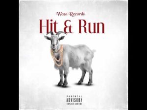 Woza Zakes - Hit & Run Ft Woza Logan