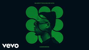 BlaQRhythm – Subanomona ft. Maline Aura